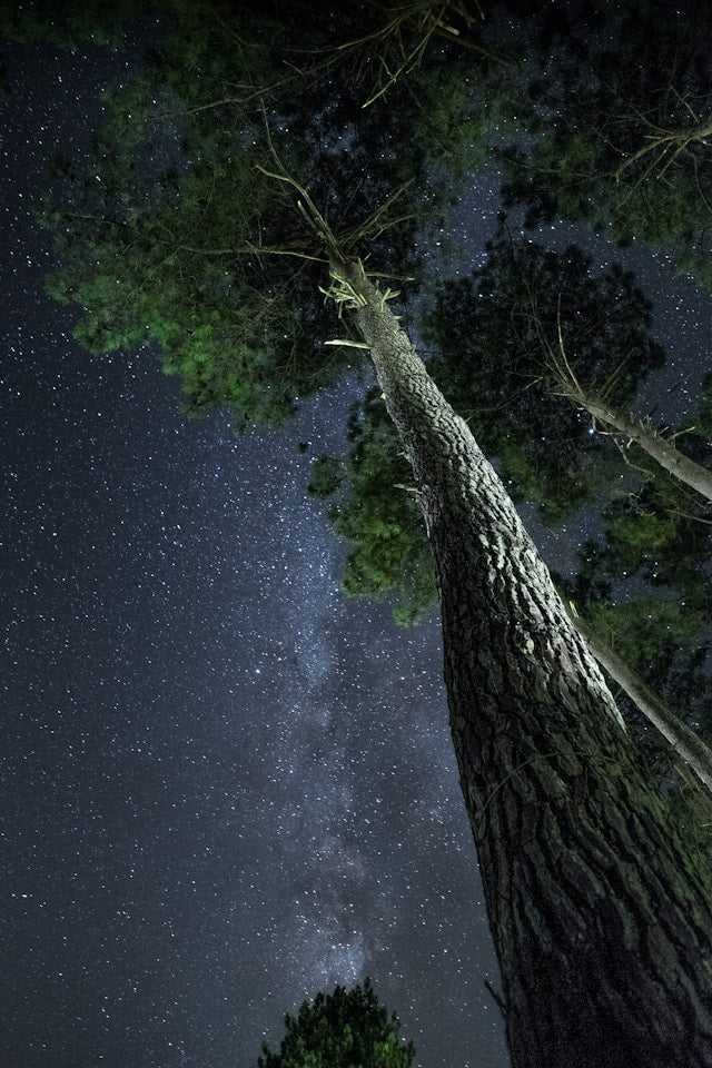 background_image