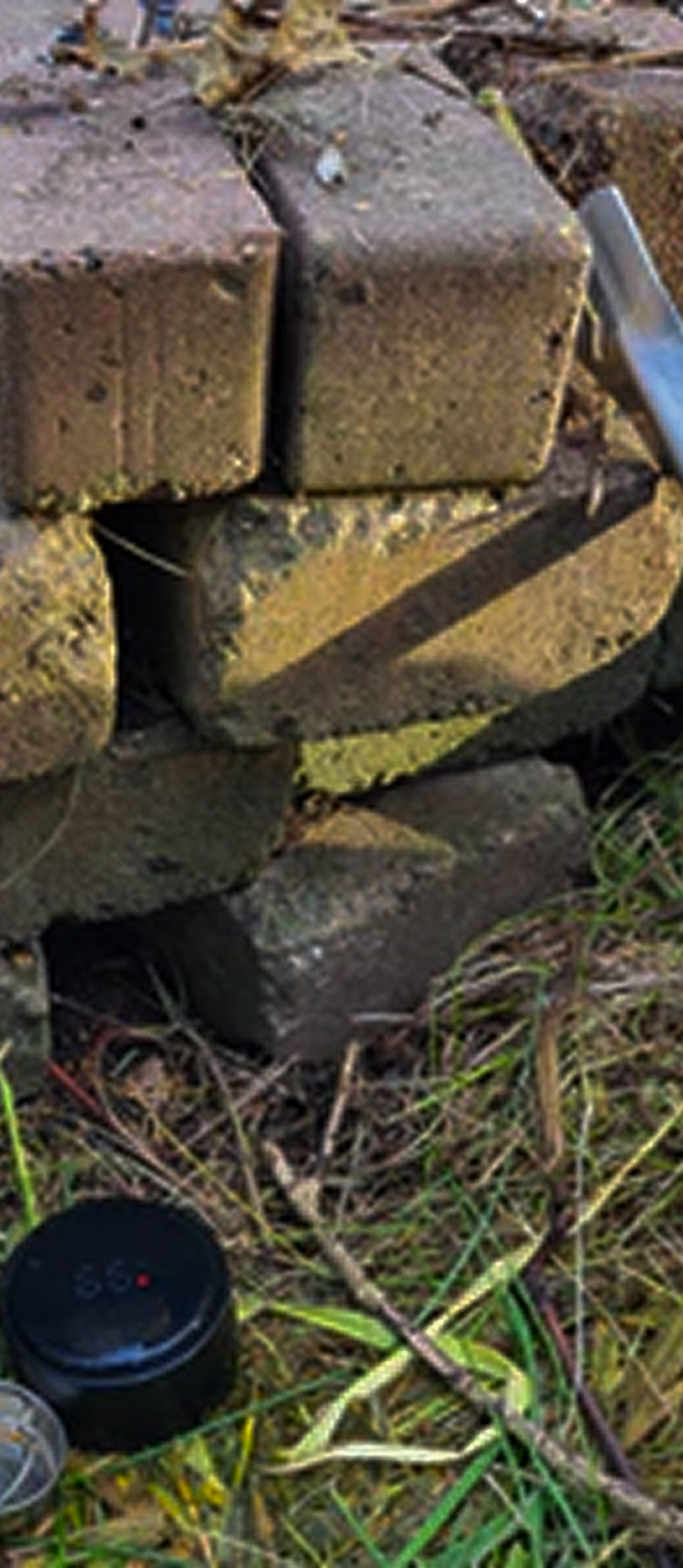 background_image